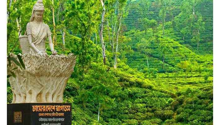 ঢাকা – সিলেট- শ্রীমঙ্গল- সিলেট – ঢাকা ( ১ রাত ২ দিন) গ্রুপ ট্যুর